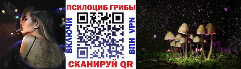 Галлюциногенные грибы ЛСД  что такое   Похвистнево 
